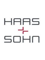 Kaminglas für HAAS SOHN ADRIA